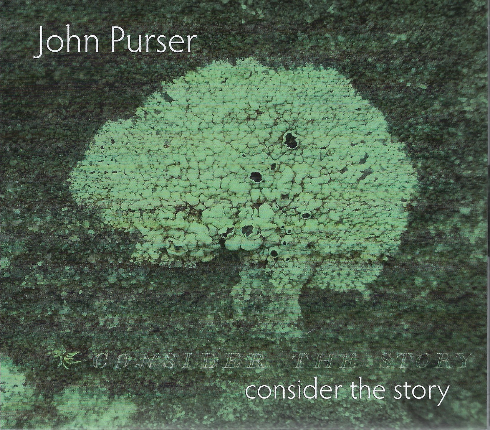 Other Name For Purser