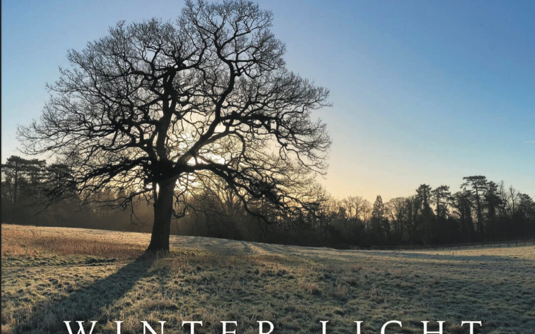 Winter Light CD